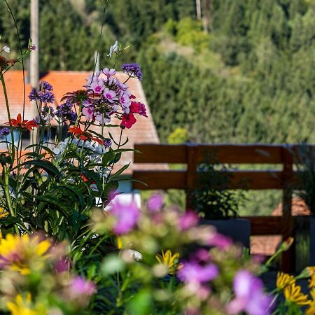 Ferienwohnung Morgensonne Wolfach Ngoại thất bức ảnh