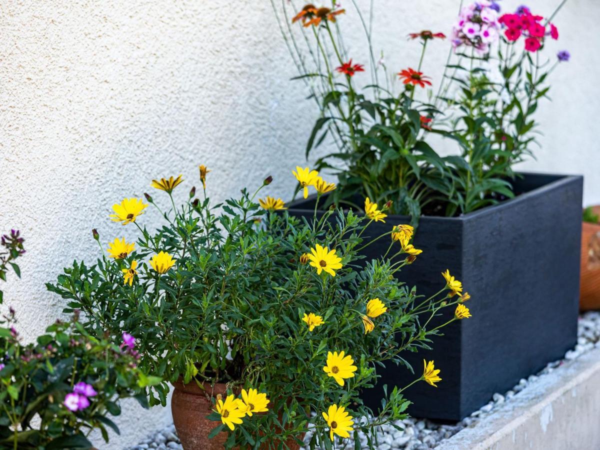 Ferienwohnung Morgensonne Wolfach Ngoại thất bức ảnh